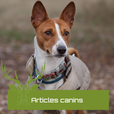 Articles canins